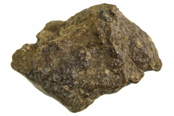 Abadla CM Chondrite Meteorite ( g) - Algeria #313104